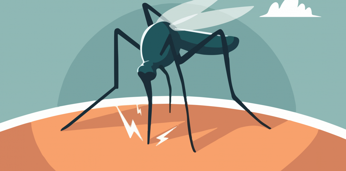 Dengue: crece la preocupación ante el brote y el aumento de casos - Newsletter OSMISS