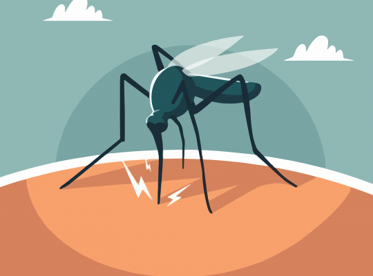 Imagen dengue