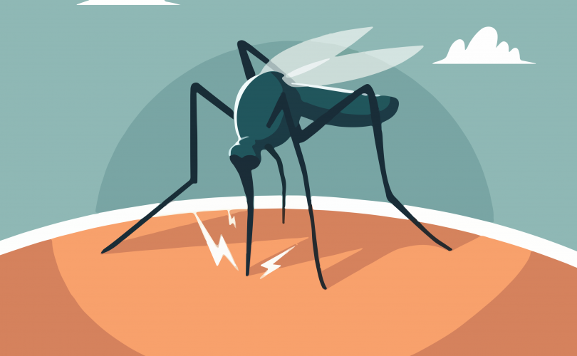 Imagen dengue